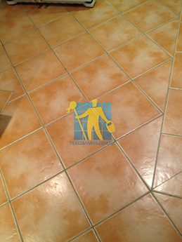 Ceramic Tiles Cleaning and Ceramic Tiles Sealing  Services Sydney